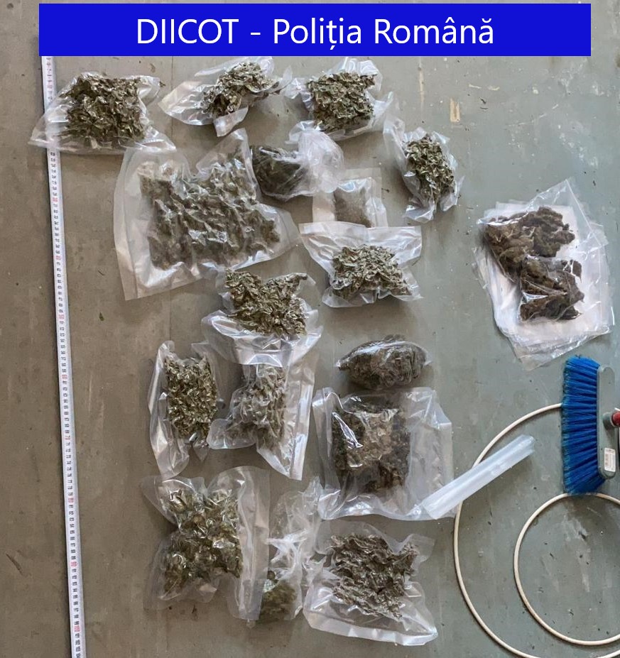 FOTO/VIDEO: Percheziții în trei județe, printre care și Bistrița-Năsăud, la locuințele unor persoane bănuite de trafic de droguri de risc FOTO/VIDEO: Percheziții în trei județe, printre care și Bistrița-Năsăud, la locuințele unor persoane bănuite de trafic de droguri de risc