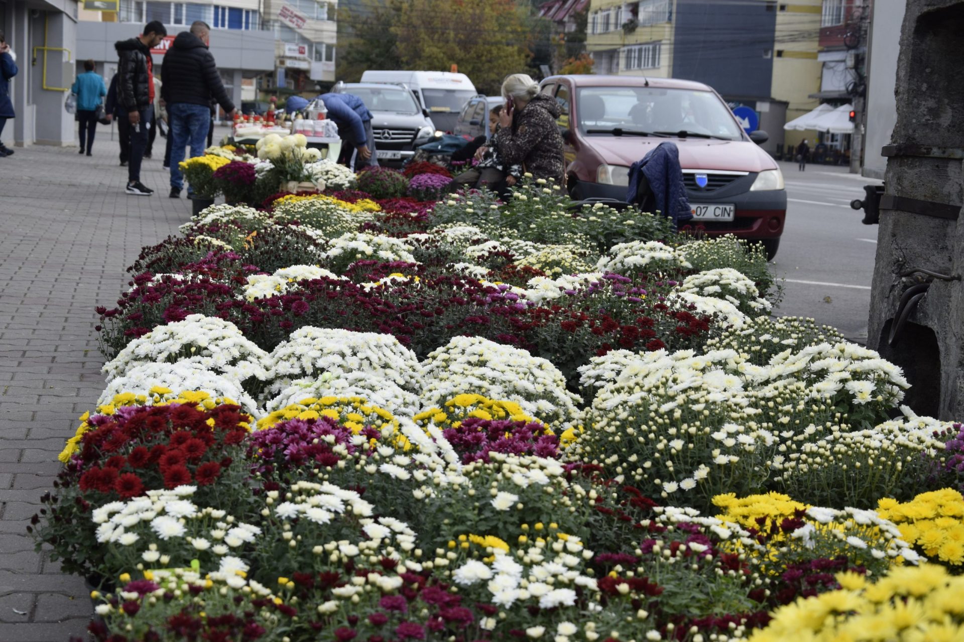 Rostul de dimineață: Au dispărut trotuarele cu totul, înghițite de flori… Mii de flori, aliniate ca sarmalele colorate Rostul de dimineață: Au dispărut trotuarele cu totul, înghițite de flori… Mii de flori, aliniate ca sarmalele colorate