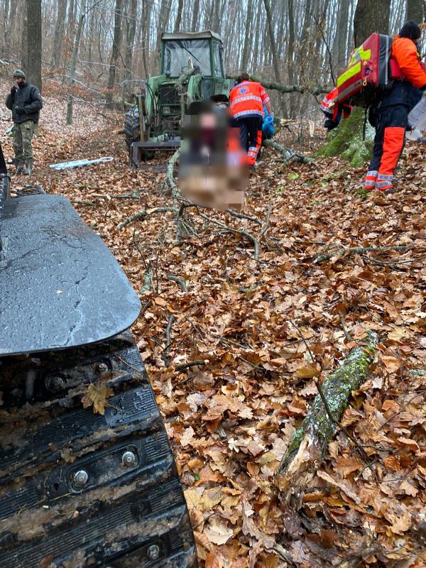Un bărbat și-a pierdut viața după ce a fost lovit de un copac (FOTO)