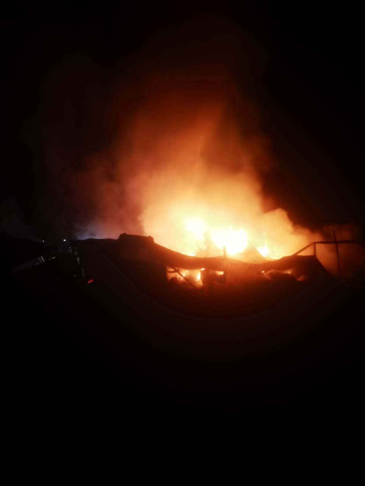 FOTO/VIDEO: Incendiu la o fermă de animale din localitatea Podirei