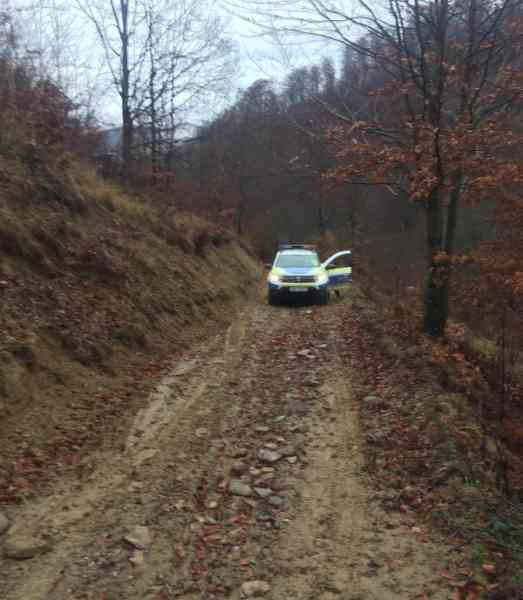 Șofer din Rebrișoara, urmărit mai bine de 30 km de polițiști. Acesta nu a oprit la semnalele oamenilor legii