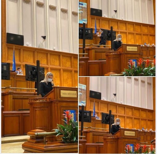 FOTO: Deputații și sentorii de Bistrița-Năsăud au depus jurămintele FOTO: Deputații și sentorii de Bistrița-Năsăud au depus jurămintele