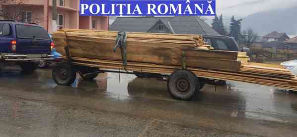 Cherestea fără acte, confiscată de la un bărbat din Sângeorz-Băi