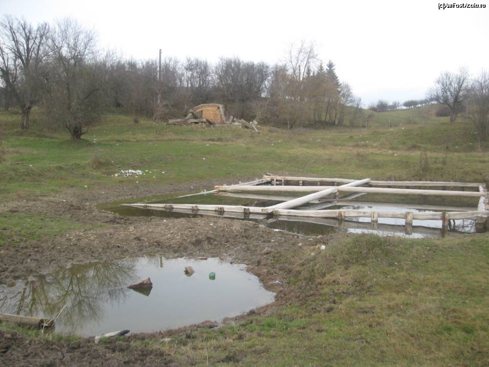 ALTE vremuri:  Amintiri despre renumitele băi de nămol, ignorate într-un sat din Bistrița-Năsăud