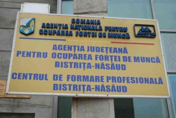 Aproape 300 de locuri de muncă vacante în Bistrița-Năsăud, la început de an Aproape 300 de locuri de muncă vacante în Bistrița-Năsăud, la început de an