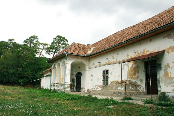 De vânzare pe OLX: Castelul din Chiochiș, sub prețul unui apartament decent în Cluj