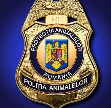 Bătaie mare, pe locurile pentru Poliția animalelor! Bătaie mare, pe locurile pentru Poliția animalelor!