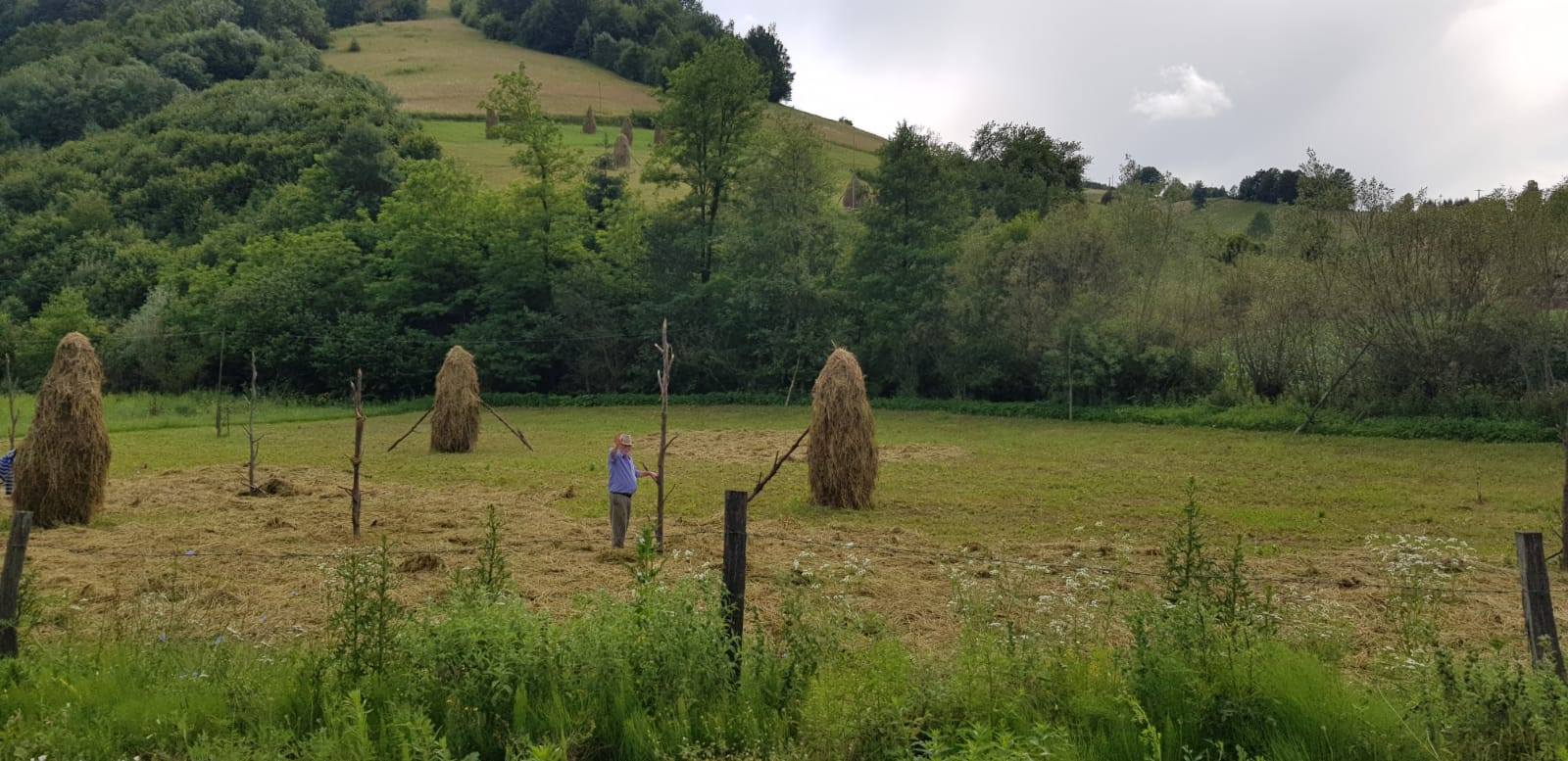 Deputatul Daniel Suciu: Să meargă Sighiartău până la Ministerul Agriculturii și să rezolve problema cu ajutoarele pentru fermieri tăiate Deputatul Daniel Suciu: Să meargă Sighiartău până la Ministerul Agriculturii și să rezolve problema cu ajutoarele pentru fermieri tăiate